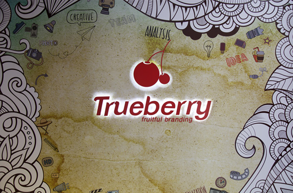 Branding & Advertising Agency in Calicut, Kerala | Trueberry Ads